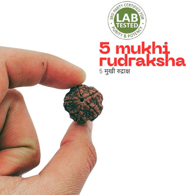 Astro Gayan 5 Mukhi Rudraksha / Five Face Rudraksha Beads Beads Wood Pendant