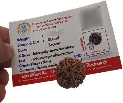 Plus Treasure 6 Mukhi Nepali Rudraksha Made in German Silver Cap - Lab Certified Beads Wood Locket Set