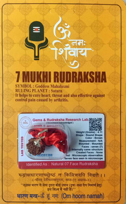 HAPPY CREATION 7 Mukhi Rudraksha With Lab Certified Wood Pendant