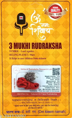 HARIDWARR 3 Mukhi Rudraksha, 3 face Rudraksha Kawach Three Rudraksh Locket Pendant Wood Pendant
