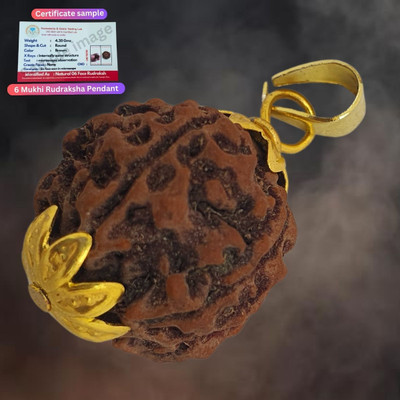 JangraBro six 6 MUKHI RUDRAKSHA (CERTIFIED AND NEPAL ORIGIN) Gold-plated Beads Brass, Wood Pendant Set