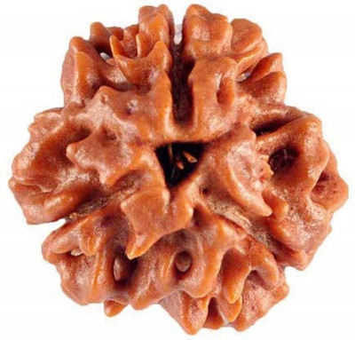 ASTHA Bhakti JEWELLERY Certified Natural 3 Mukhi Rudraksha/Three Mukhi X-Ray Certified Wood Pendant