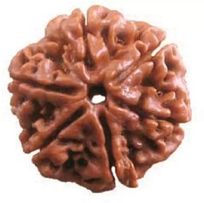 Fine Creation Six Mukhi Rudraksha Certified/Original Rudraksh Natural 6 faced Rudraksha Wood Pendant