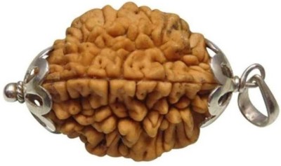 HAPPY CREATION 2 Mukhi Two Face Rudraksha Silver Silver Wood Pendant