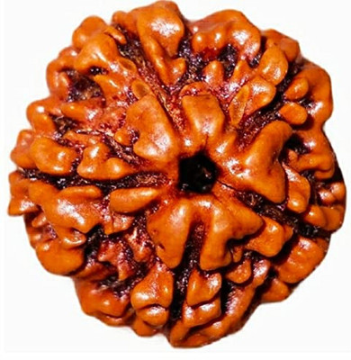 dr. shrimali & astro science Guaranteed Original 5 Mukhi Rudraksha With Certificate Wood Pendant