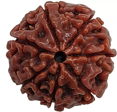 Chopra Gems Seven Mukhi Rudraksha Certified/Original 7 Mukhi Rudraksh/Natural Rudraksha Wood