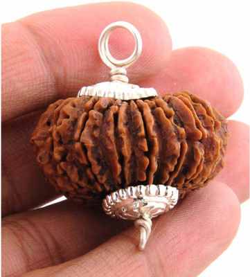 house of common 14 Mukhi Nepali Siddha Rudraksha Pendent With IGL Certified Silk Dori Pendant
