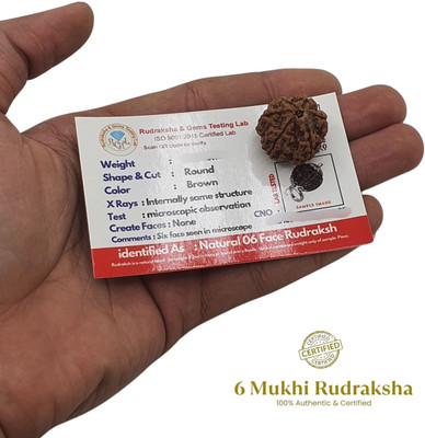 Baku Jewellery 6 Mukhi Rudraksha, six Face Radraksha, 6 Face Radraksha, Original Rudraksha Beads Wood Locket