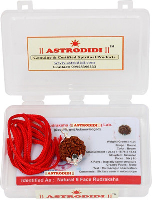 Astrodidi 6 Mukhi Rudraksha Nepali | Original Six Face Rudraksha With Lab Certificate Silver Wood Pendant