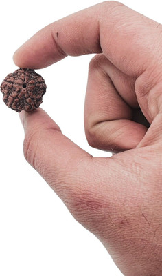 Nirvana Mukhi Beads Wood Locket