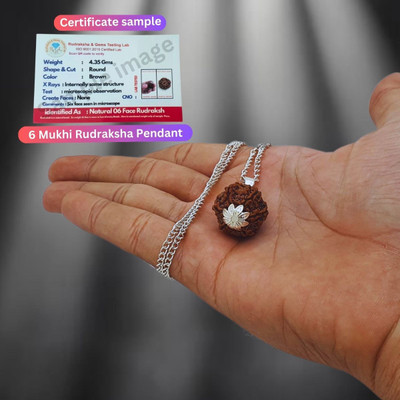 Dayalu Store 6 Mukhi Rudraksha Pendant/Pandent Nepali Rudraksha with Lab Certified six Mukhi Silver Beads Brass, Wood Pendant