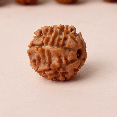Satvik Certified 7 Mukhi Nepali Rudraksha Bead for Men and Women – Lab Tested Beads Wood Pendant