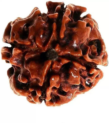 HAPPY CREATION Unique & Effective Four Mukhi Rudraksha 4 Faced Rudraksha For Men & Women Wood