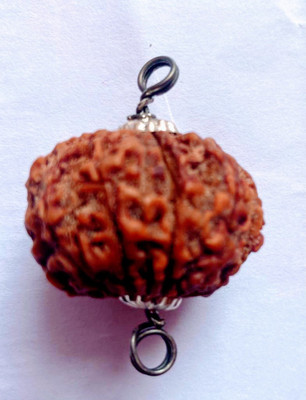 Vegga 10 mukhi rudraksha 10 mukhi rudraksha Wood