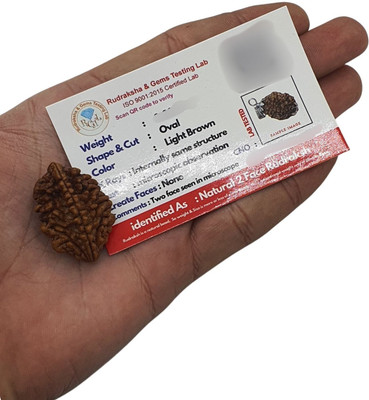 Bondwal Trendz 2 Mukhi Rudraksha Lab Certified Wood Pendant
