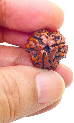 Beautum 3 Mukhi Rudraksha Three Face Rudraksha Original Nepali Bead With Metal Cap Wood Pendant