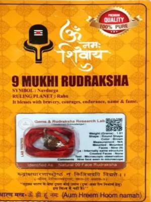 HARIDWARR 9 Mukhi Rudraksha Original and Natural with Lab Report Silver Wood Pendant Wood Locket