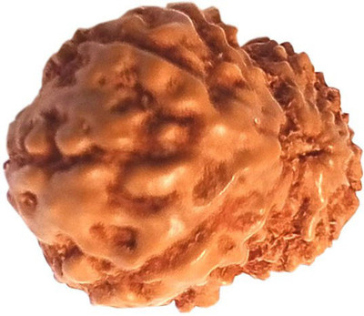 DIVINE SOUVENIRS 13 Mukhi Lab Certified Rudraksha Good Shape & Wood Pendant Wood Pendant