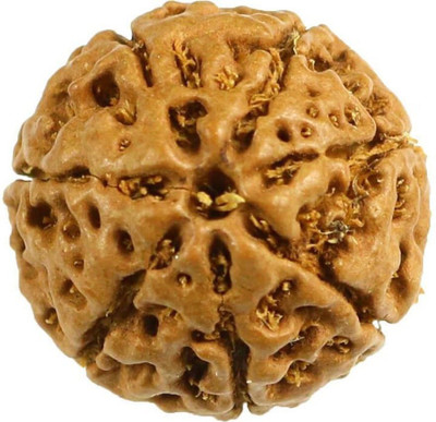 ASTHA Bhakti JEWELLERY 7 Mukhi Rudraksha Indonesian Wood Brass, Wood Pendant