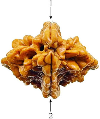 Beautum 3 Mukhi Pure Rudraksha, Laboratory Certified Wood Pendant