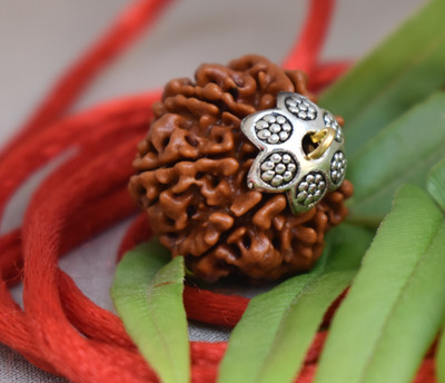 ng gems 5 Mukhi Nepali Rudraksha Lab Certified Wood Pendant