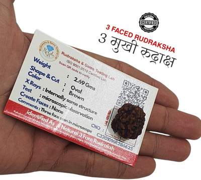 Banke Collection 3 Mukhi Nepali Rudraksha three Face Rudraksh With Original Quality Beads Wood Pendant