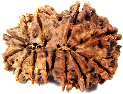 DIVINE SOUVENIRS Rare 12 Mukhi Rudraksha Nepal Bead Symbol of Lord Dwadas Aditya/Surya Beads Wood Pendant