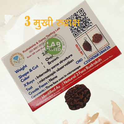 Haven gemsstone three Face Rudraksha/ 3 Mukhi Rudraksha / 3 Face Rudraksha Beads Wood Pendant Set
