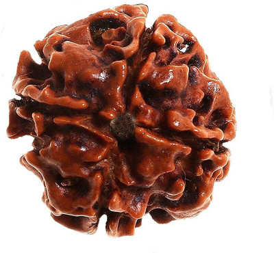Divine rudras 4 mukhi Rudraksha certified | Nepal Wood Pendant