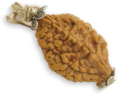 Beautum Nepali 2 mukhi original rudraksha with metal capping Wood Pendant