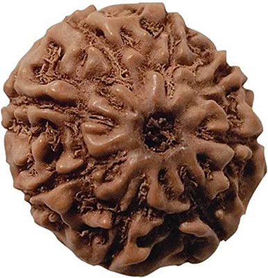 Beautum INDONESIAN 9 MUKHI ORIGINAL RUDRAKSHA FOR DAILY USE Wood Pendant