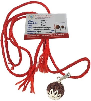 HAPPY CREATION 7 Mukhi Rudraksha Original Certified Seven Face Natural Silver Wood Locket Set