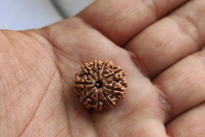 Beautum 9 Mukhi Rudraksha Nepali Nine Face Rudraksha Metal Capped Wood Pendant