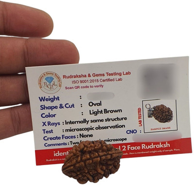 Bharat Collection Nepali 2 Mukhi Rudraksha Original Certified 2 Faced/two Face Rudraksh Beads Beads Wood Pendant