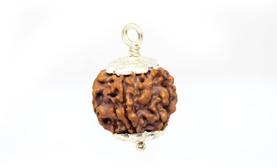 house of common Swaha 5 Mukhi Rudraksha Pendant | Naturlal Lab Certified Rudraksha Beads Wood