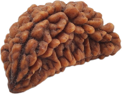 Rudrashan 1 Mukhi Rudraksha (Original & Energised) – FreeAstroGuide™ Rudrashan™ Wood Locket