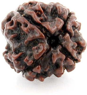 HAPPY CREATION Four Faced / 4 Mukhi Nepali Rudraksha Beads Wood Pendant