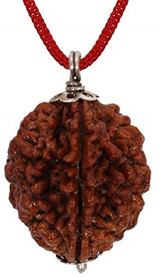 DIVINE SOUVENIRS 2 Mukhi Rudraksha Two Face Rudraksha Original Nepali Bead With Metal Capped Wood Pendant