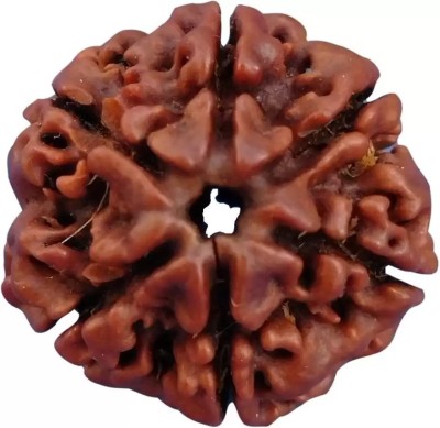 Fine Creation Natural Six Mukhi (6 face) Rudraksha Men & Women Wood Pendant