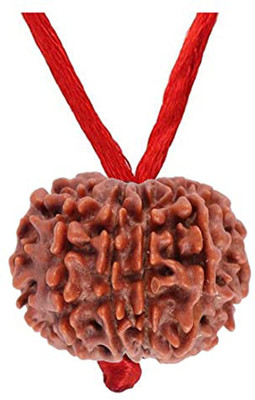 ANVIKA Original 5 Mukhi Rudraksha Pendant With Red Thread Ideal For Men And Women Wood Locket