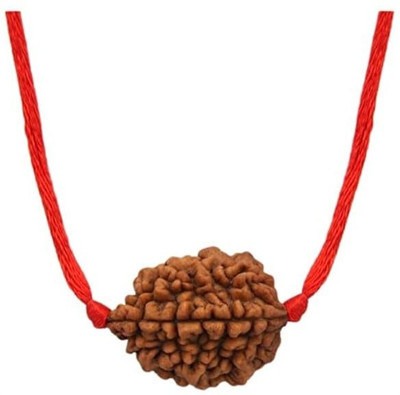 DIVINE SOUVENIRS 2 Mukhi Rudraksha Two Face Rudraksha Nepali Rudraksha Code:1 Wood Pendant