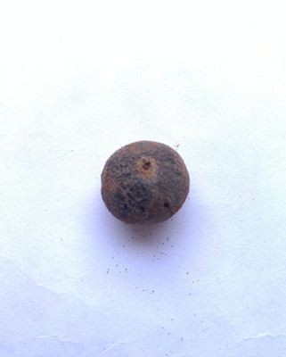 Rudraksham Rudraksha Nepali Scared Fruit (Set of 1) Wood Pendant Set