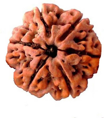 DIVINE SOUVENIRS Certified Natural Six Mukhi (6 face) Rudraksha With Lab Tested Certificate Wood Pendant