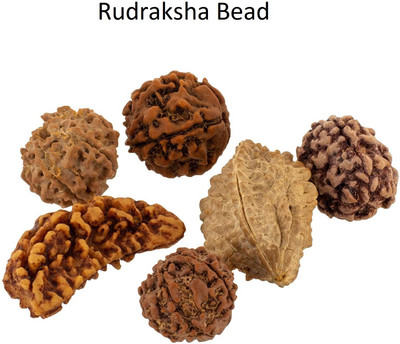 house of common Real 1 Mukhi 2 Mukhi 3 Mukhi 4 Mukhi and 5 Mukhi 6 Mukhi Rudraksha Bead Wood Pendant