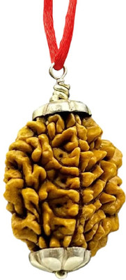 RIKIJAZ Original 2 Mukhi Rudraksha with Lab Certificate for Daily Wear Silver Wood Pendant