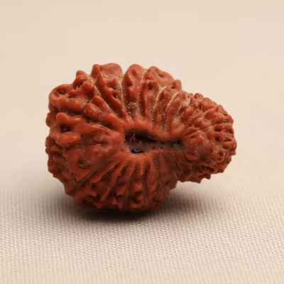 Sugandhim Astro Mahakaal-22-Mukhi Wood Pendant