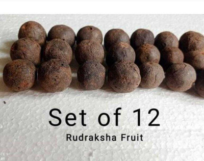 Rudraksham Rudraksham Rudraksha Sacred Fruit-Tear (Set of 12) With Brand Certification Wood Pendant