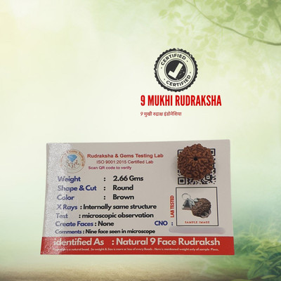 MysteriousThings 9 Mukhi Rudraksha nine face Rudraksha Java Indonesian Beads Wood Locket