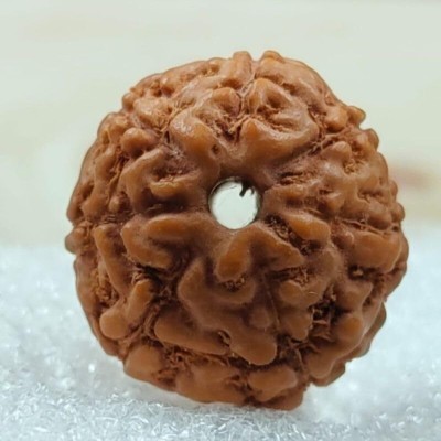 Beautum Indonesian 8 mukhi original rudraksha certified natural rudraksha Wood Pendant