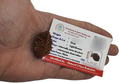 Bondwal Trendz 2/ two Mukhi Rudraksha Lab Certified Original Pure Nepalese Beads Wood Pendant